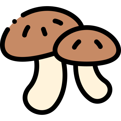 Mushroom broth